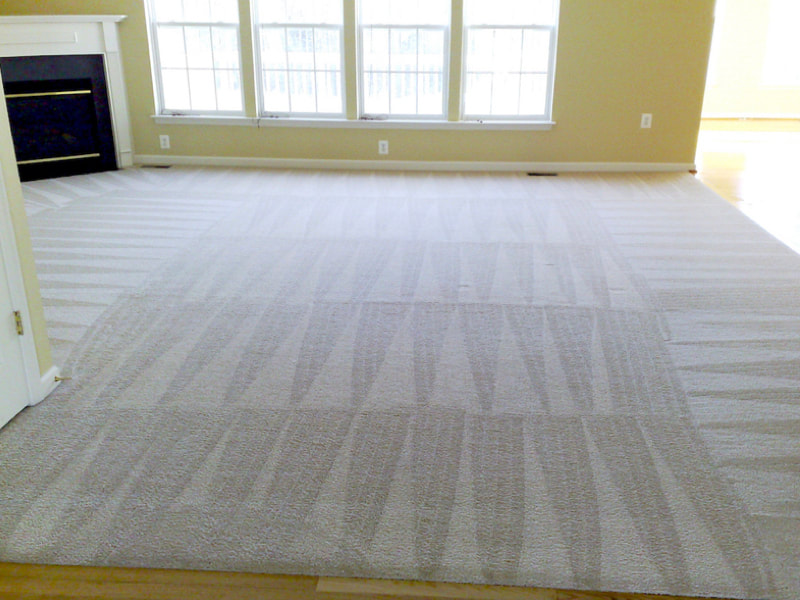 Carpet Cleaning Portland, OR